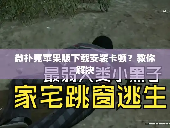 微扑克苹果版下载安装卡顿？教你解决