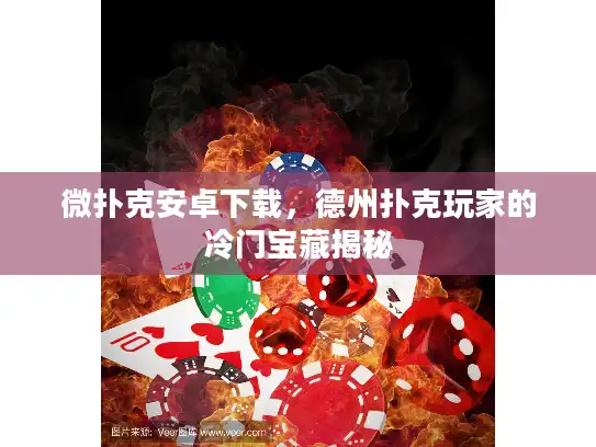 微扑克安卓下载，德州扑克玩家的冷门宝藏揭秘