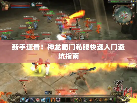新手速看!神龙蜀门私服快速入门避坑指南 新手速看!神龙蜀门私服快速入门避坑指南