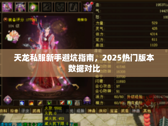 天龙私服新手避坑指南，2025热门版本数据对比