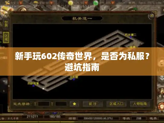 新手玩602传奇世界，是否为私服？避坑指南