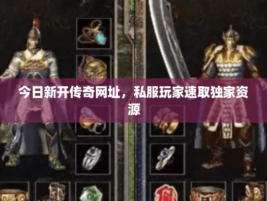 今日新开传奇网址，私服玩家速取独家资源