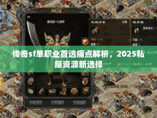 传奇sf单职业首选痛点解析，2025私服资源新选择