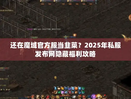 还在魔域官方服当韭菜？2025年私服发布网隐藏福利攻略