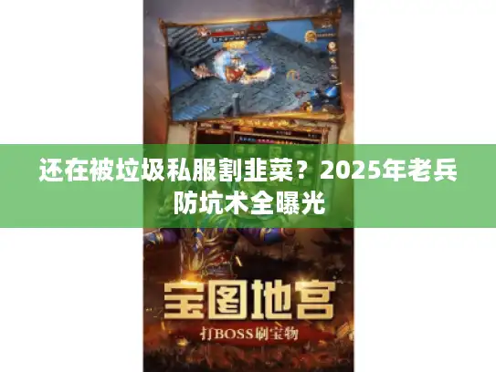 还在被垃圾私服割韭菜?2025年老兵防坑术全曝光 还在被垃圾私服割韭菜?2025年老兵防坑术全曝光