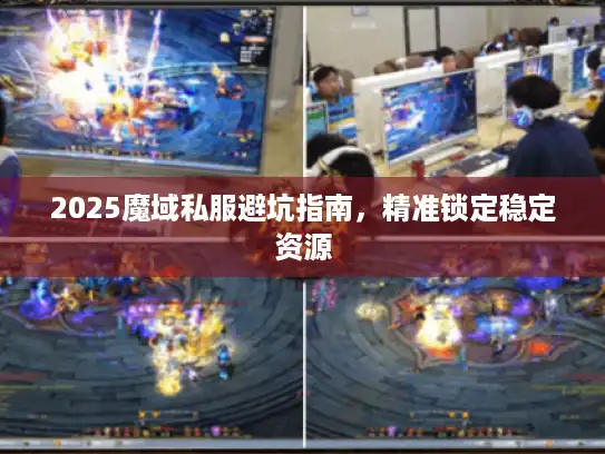 2025魔域私服避坑指南,精准锁定稳定资源 2025魔域私服避坑指南,精准锁定稳定资源