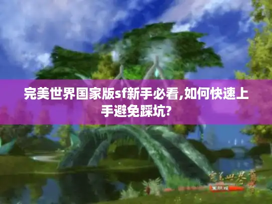 完美世界国家版sf新手必看,如何快速上手避免踩坑? 完美世界国家版sf新手必看,如何快速上手避免踩坑?
