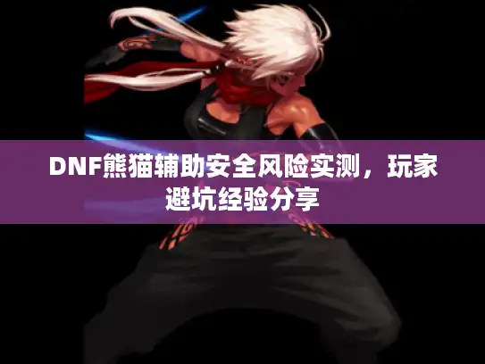 DNF熊猫辅助安全风险实测，玩家避坑经验分享
