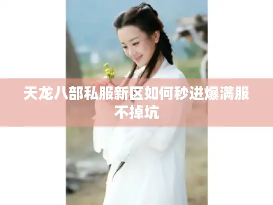 天龙八部私服新区如何秒进爆满服不掉坑