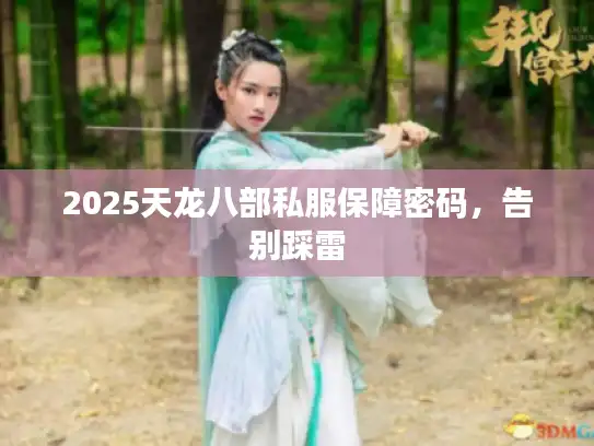 2025天龙八部私服保障密码，告别踩雷