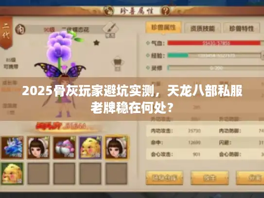 2025骨灰玩家避坑实测，天龙八部私服老牌稳在何处？