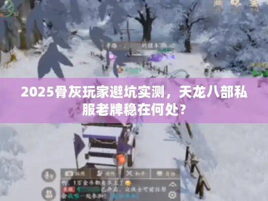 2025骨灰玩家避坑实测，天龙八部私服老牌稳在何处？