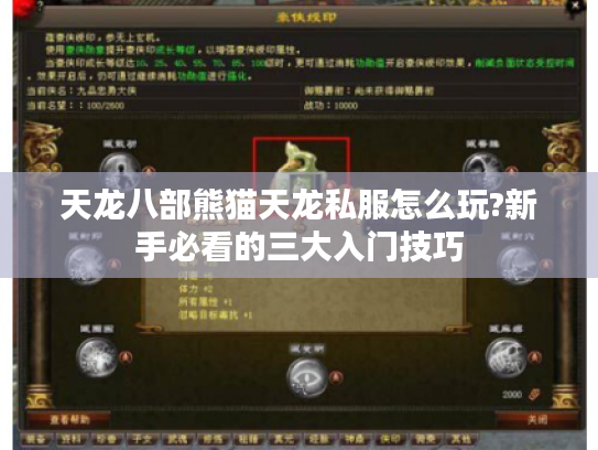 天龙八部熊猫天龙私服怎么玩?新手必看的三大入门技巧