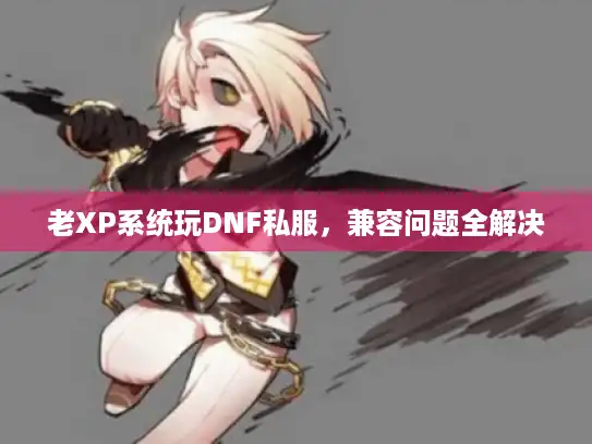 老XP系统玩DNF私服,兼容问题全解决 老XP系统玩DNF私服,兼容问题全解决