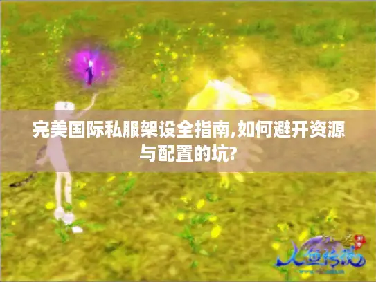 完美国际私服架设全指南,如何避开资源与配置的坑?
