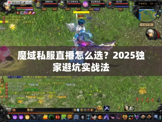 魔域私服直播怎么选？2025独家避坑实战法