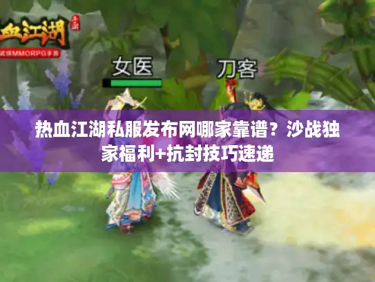 热血江湖私服发布网哪家靠谱？沙战独家福利+抗封技巧速递