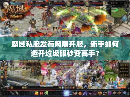 魔域私服发布网刚开服，新手如何避开垃圾服秒变高手？