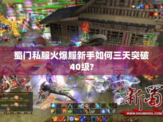 蜀门私服火爆服新手如何三天突破40级?