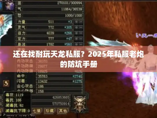 还在找耐玩天龙私服？2025年私服老炮的防坑手册