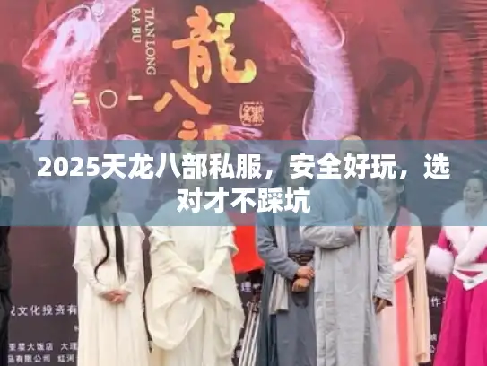 2025天龙八部私服，安全好玩，选对才不踩坑