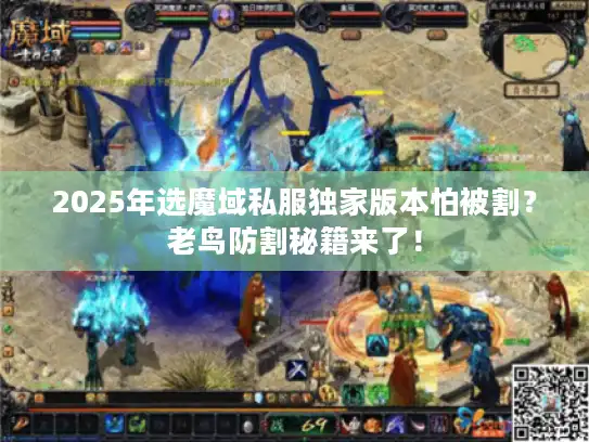 2025年选魔域私服独家版本怕被割？老鸟防割秘籍来了！