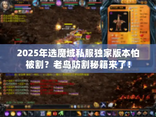 2025年选魔域私服独家版本怕被割？老鸟防割秘籍来了！