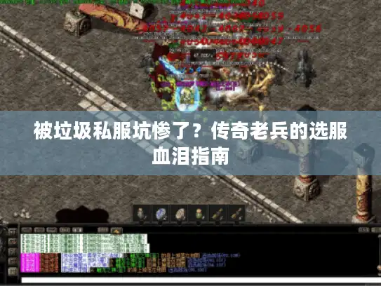 被垃圾私服坑惨了？传奇老兵的选服血泪指南