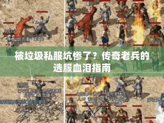 被垃圾私服坑惨了？传奇老兵的选服血泪指南