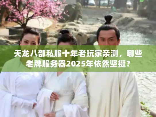 天龙八部私服十年老玩家亲测，哪些老牌服务器2025年依然坚挺？