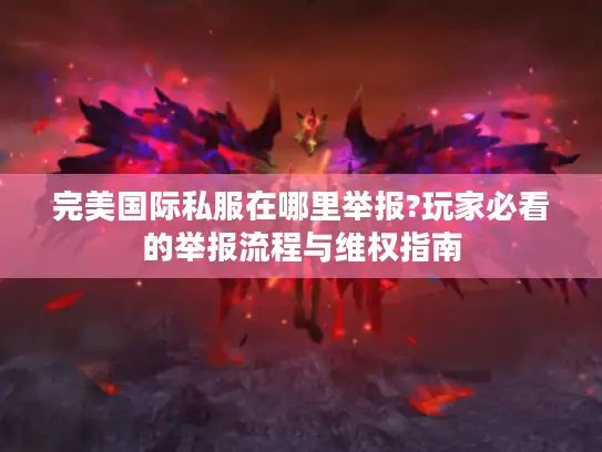 完美国际私服在哪里举报?玩家必看的举报流程与维权指南