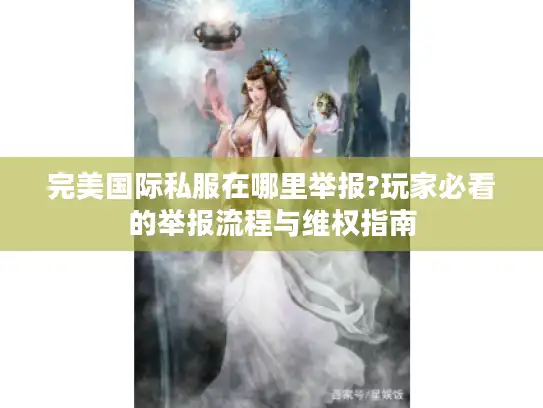 完美国际私服在哪里举报?玩家必看的举报流程与维权指南