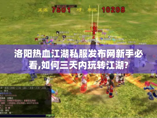 洛阳热血江湖私服发布网新手必看,如何三天内玩转江湖?