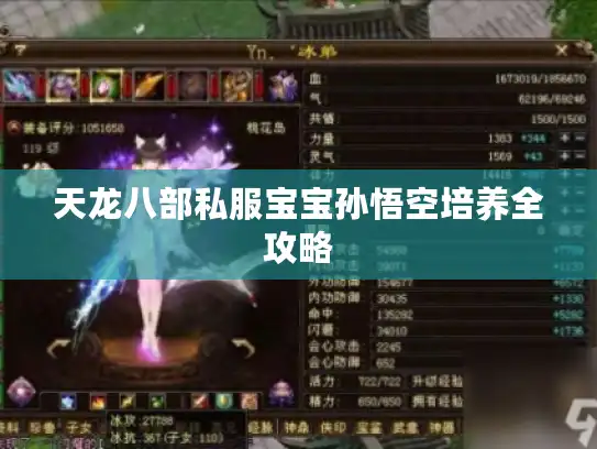 天龙八部私服宝宝孙悟空培养全攻略 天龙八部私服宝宝孙悟空培养全攻略