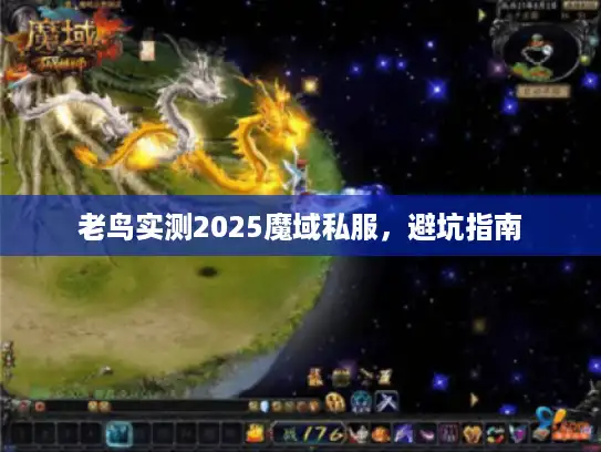 老鸟实测2025魔域私服，避坑指南