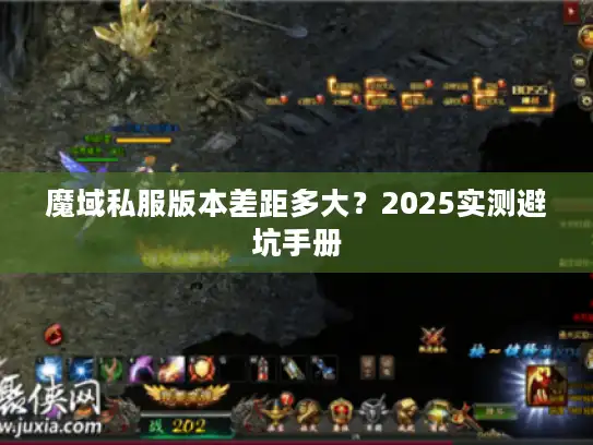 魔域私服版本差距多大?2025实测避坑手册 魔域私服版本差距多大?2025实测避坑手册