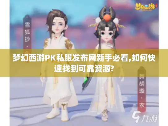 梦幻西游PK私服发布网新手必看,如何快速找到可靠资源?