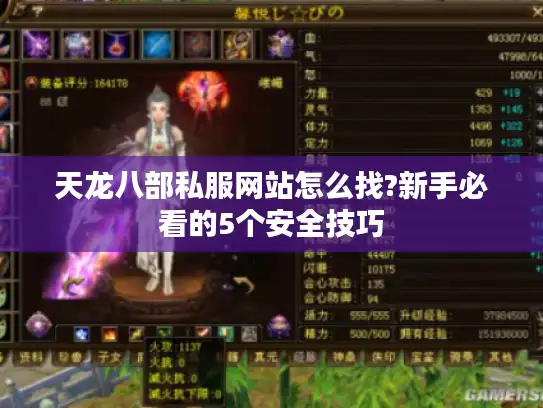 天龙八部私服网站怎么找?新手必看的5个安全技巧