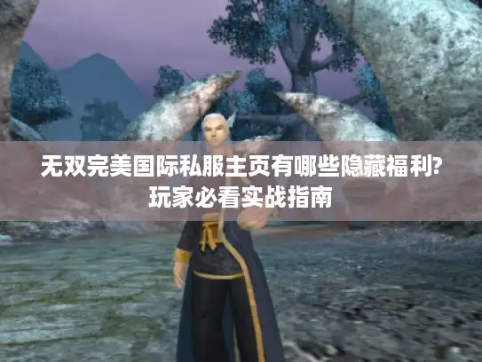 无双完美国际私服主页有哪些隐藏福利?玩家必看实战指南