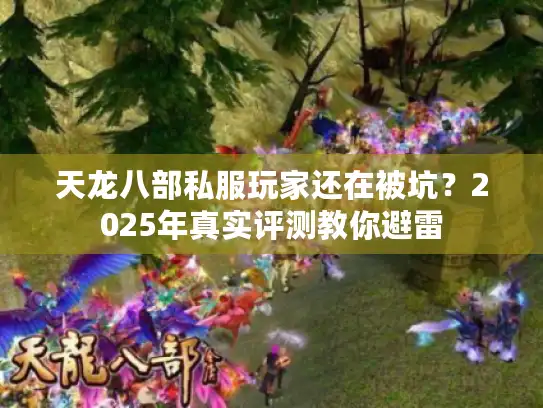 天龙八部私服玩家还在被坑？2025年真实评测教你避雷