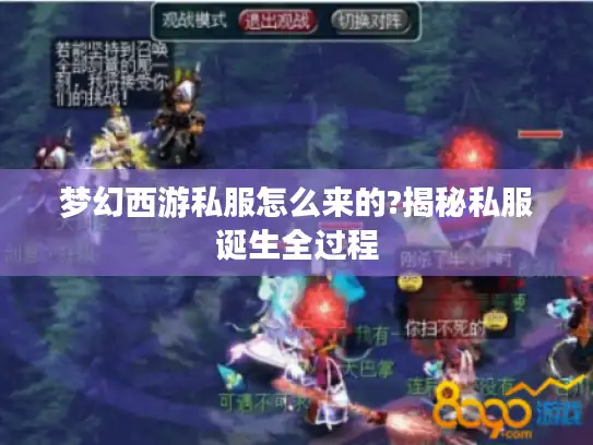 梦幻西游私服怎么来的?揭秘私服诞生全过程