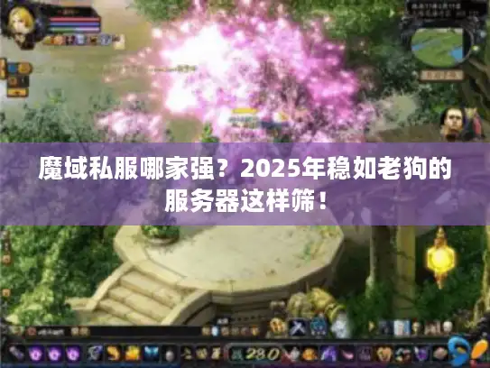 魔域私服哪家强？2025年稳如老狗的服务器这样筛！