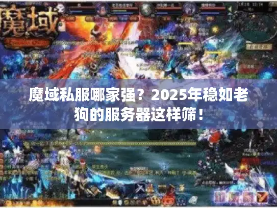 魔域私服哪家强？2025年稳如老狗的服务器这样筛！