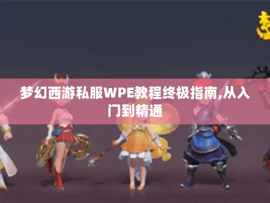 梦幻西游私服WPE教程终极指南,从入门到精通