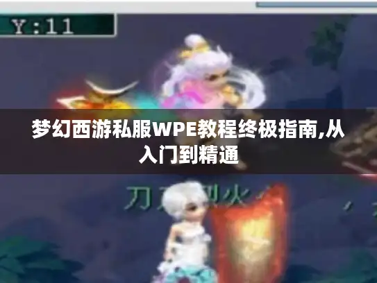 梦幻西游私服WPE教程终极指南,从入门到精通