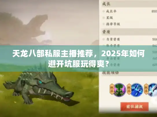 天龙八部私服主播推荐，2025年如何避开坑服玩得爽？