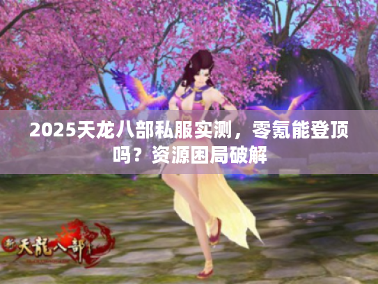 2025天龙八部私服实测,零氪能登顶吗?资源困局破解 2025天龙八部私服实测,零氪能登顶吗?资源困局破解