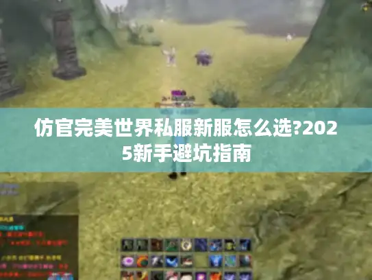 仿官完美世界私服新服怎么选?2025新手避坑指南