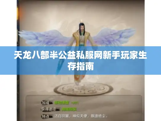 天龙八部半公益私服网新手玩家生存指南