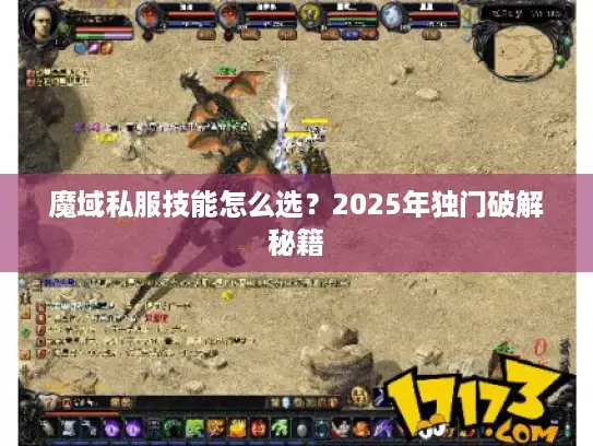 魔域私服技能怎么选？2025年独门破解秘籍